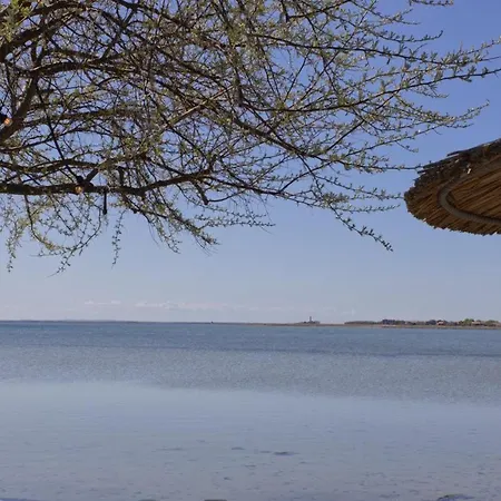 Inselblume 60 - In Semesterbostad Lemkenhafen auf Fehmarn